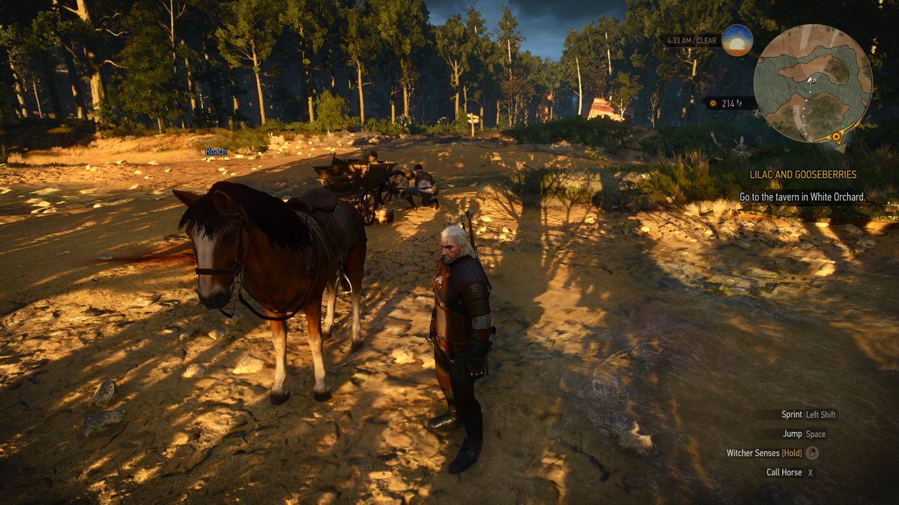 The Witcher 3 : Wild Hunt - Ultra Option