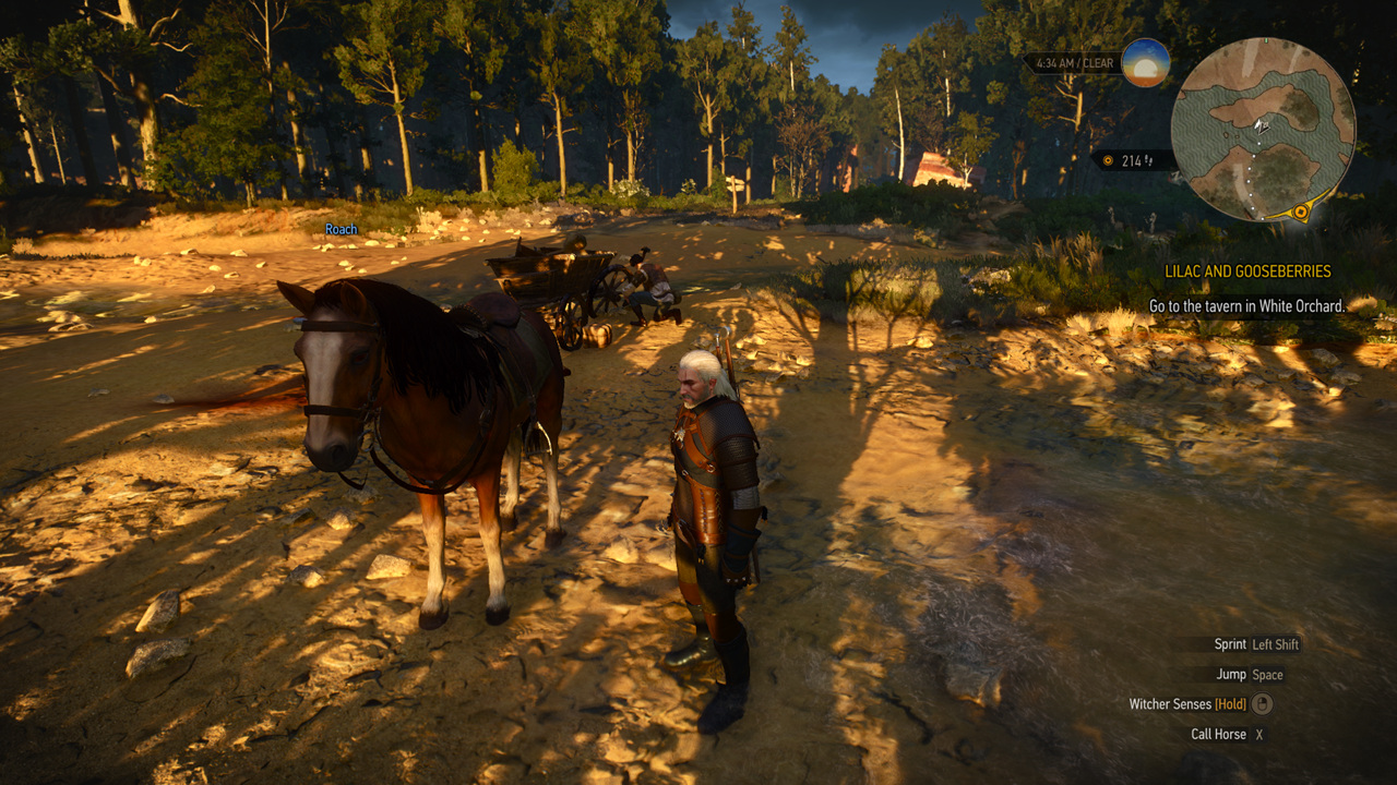 The Witcher 3 : Wild Hunt - High Option